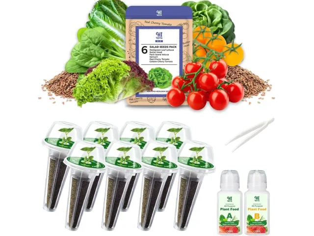 Salad Greens Seed Pod Kit Lettuce Tomato, Red – Honest