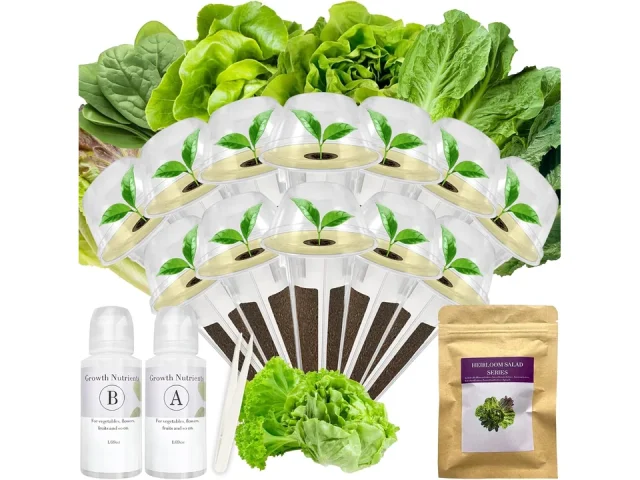 Salad Greens Seed Pod Kit – Honest Review