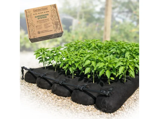 4×8 Home Gardening Kit Drip Irrigation System – Honest