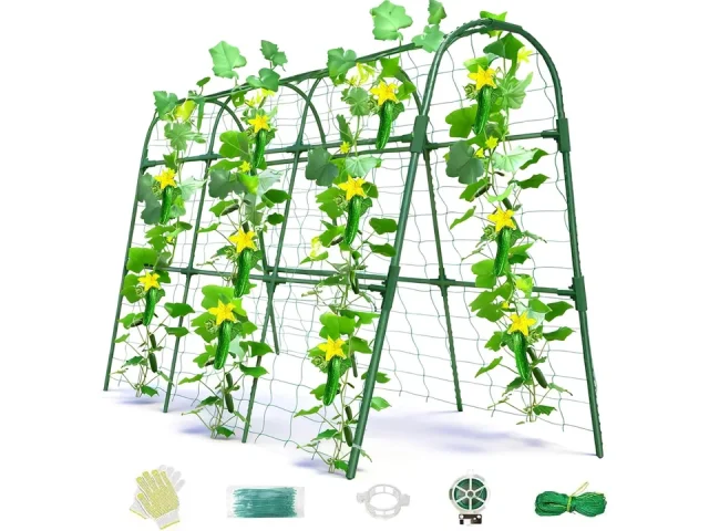 Cucumber Trellis Raised Bed – Complete Review
