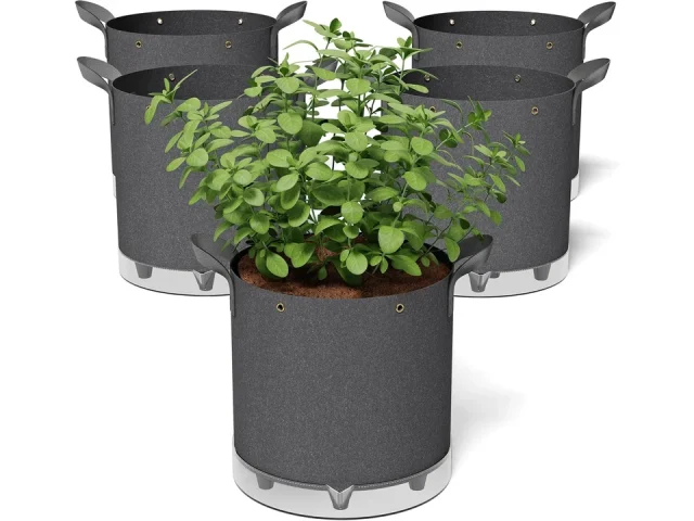 Patigrow Self-Watering Grow Bags – In-Depth Review