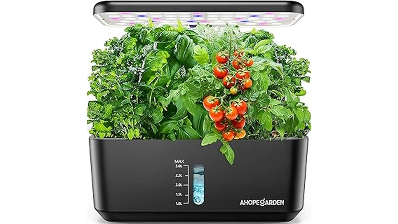 The image shows a lush tomato plant growing in a compact hydroponic system, ideal for the best hydroponic systems for tomatoes.