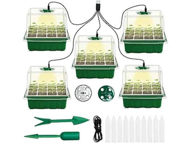 Best 10 Hibiscus Seeds for Planting Indoors