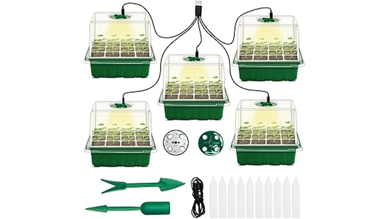 The image shows vibrant, colorful hibiscus flowers, perfect for the Best 10 Hibiscus Seeds for Planting article.