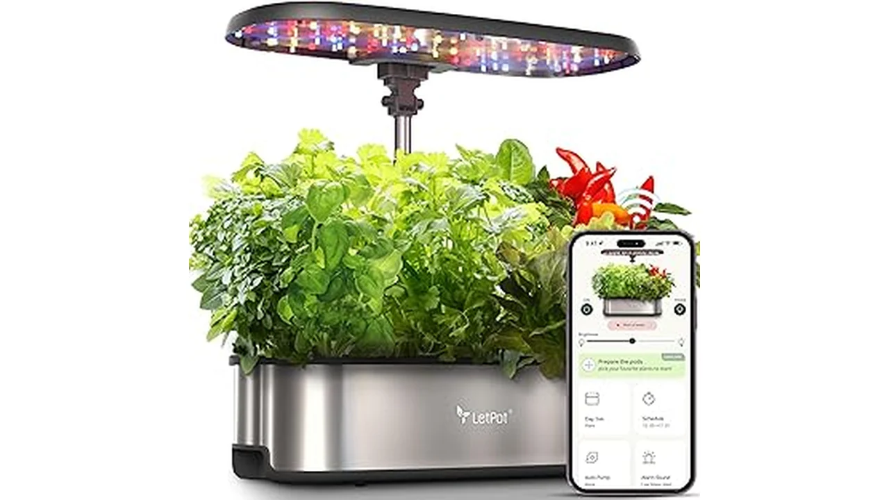 The image shows a lush vegetable garden growing in a modern hydroponic system.