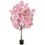 Best 10 Indoor Plants Decor Living Room Flowers