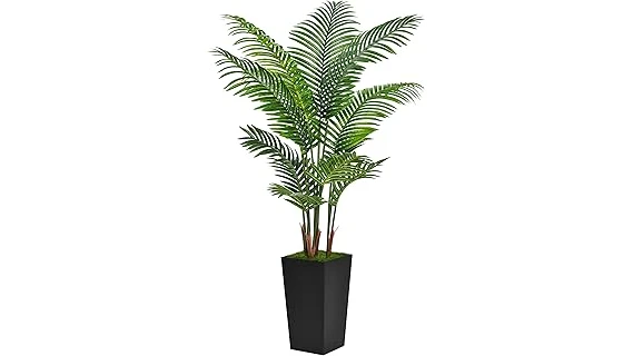 Best 10 Indoor Plants Decor Living Room Top View