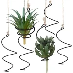 Best 10 Low-maintenance Indoor Plants for Clean Air