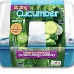 The image shows a variety of cucumber seed packets ideal for the Best 6 Best Cucumber Seeds for Summer Season.