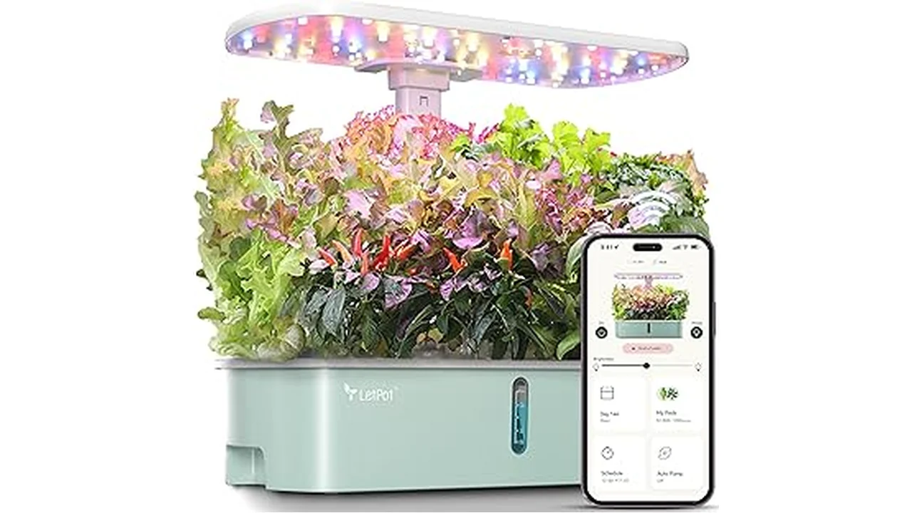This image shows a sleek, modern countertop hydroponic system with vibrant green plants growing.