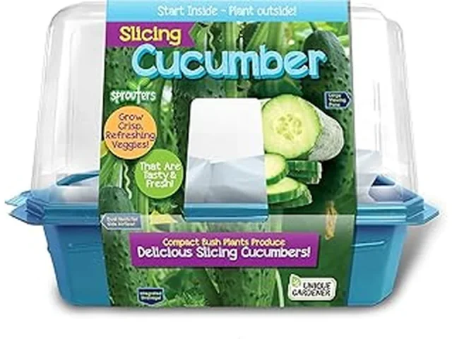 Top10 Best Cucumber Seeds for Planting