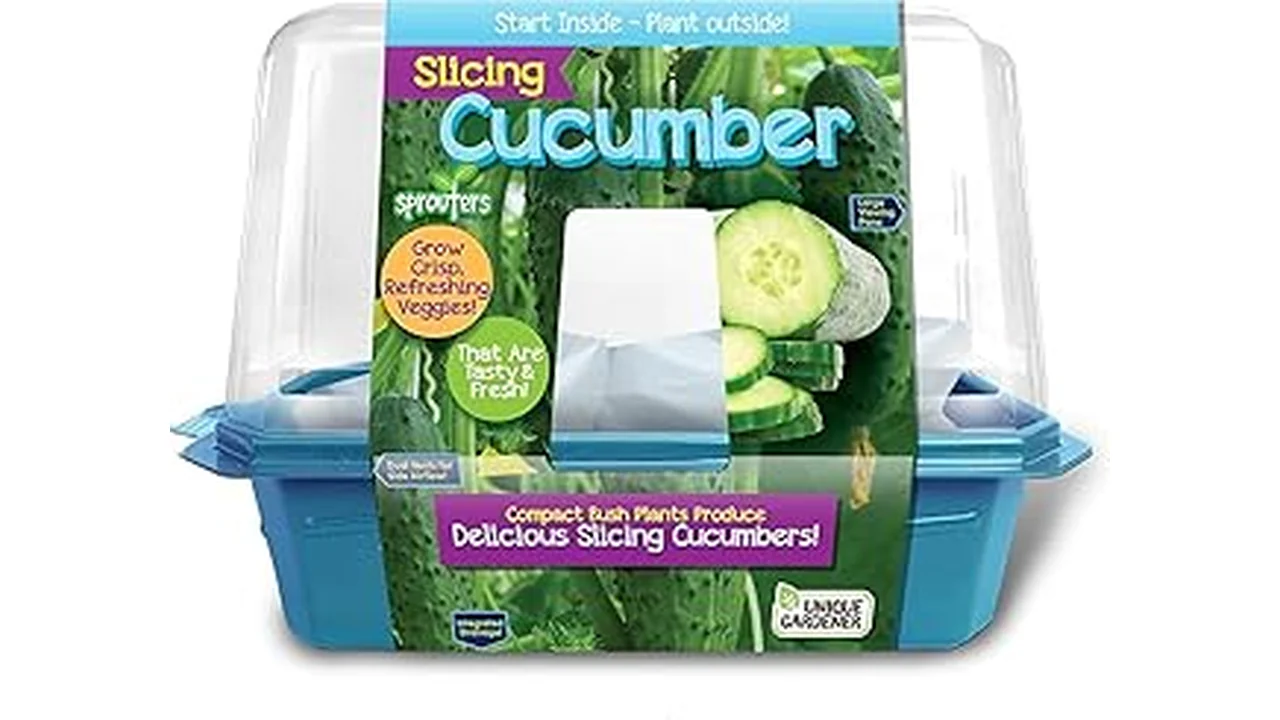 The image shows a variety of cucumber seed packets, suggesting the Top 10 Best Cucumber Seeds for Planting.