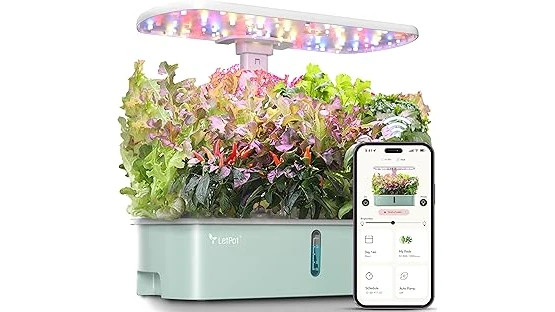 Top 10 Best Indoor Plants for Oxygen and Clean Air