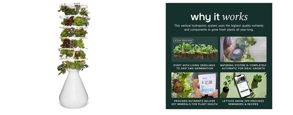 Lettuce Modern vs CARPATHEN C-HVGS-GL-0: Best Hydroponic System 4 Lettuce Modern images