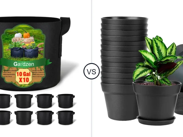 Grow Bugs vs Plastic Pots Which Is Better For Indoor Plants