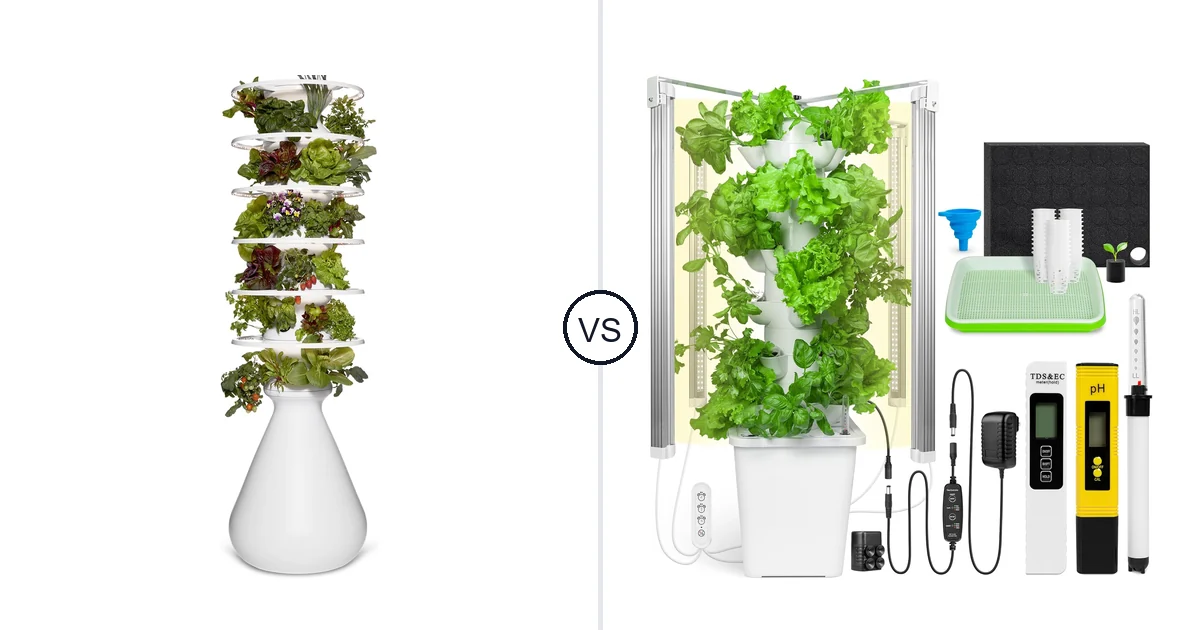 Comparison of Lettuce Modern and CARPATHEN C-HVGS-GL-0