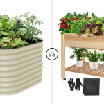 Comparison of Vego Classic and VIVOSUN Modern