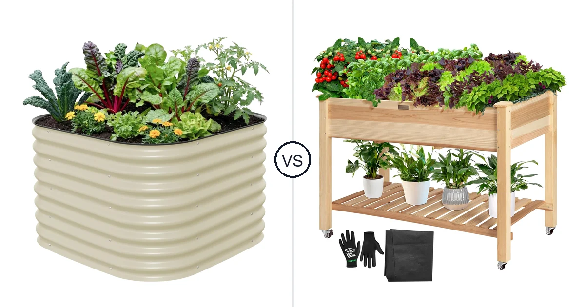 Comparison of Vego Classic and VIVOSUN Modern