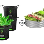 Comparison of VIVOSUN Garden and Rakukiri Minimal