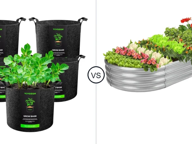 Grow Bags vs Raised Beds Pros and Cons: Best Oven for Your Needs