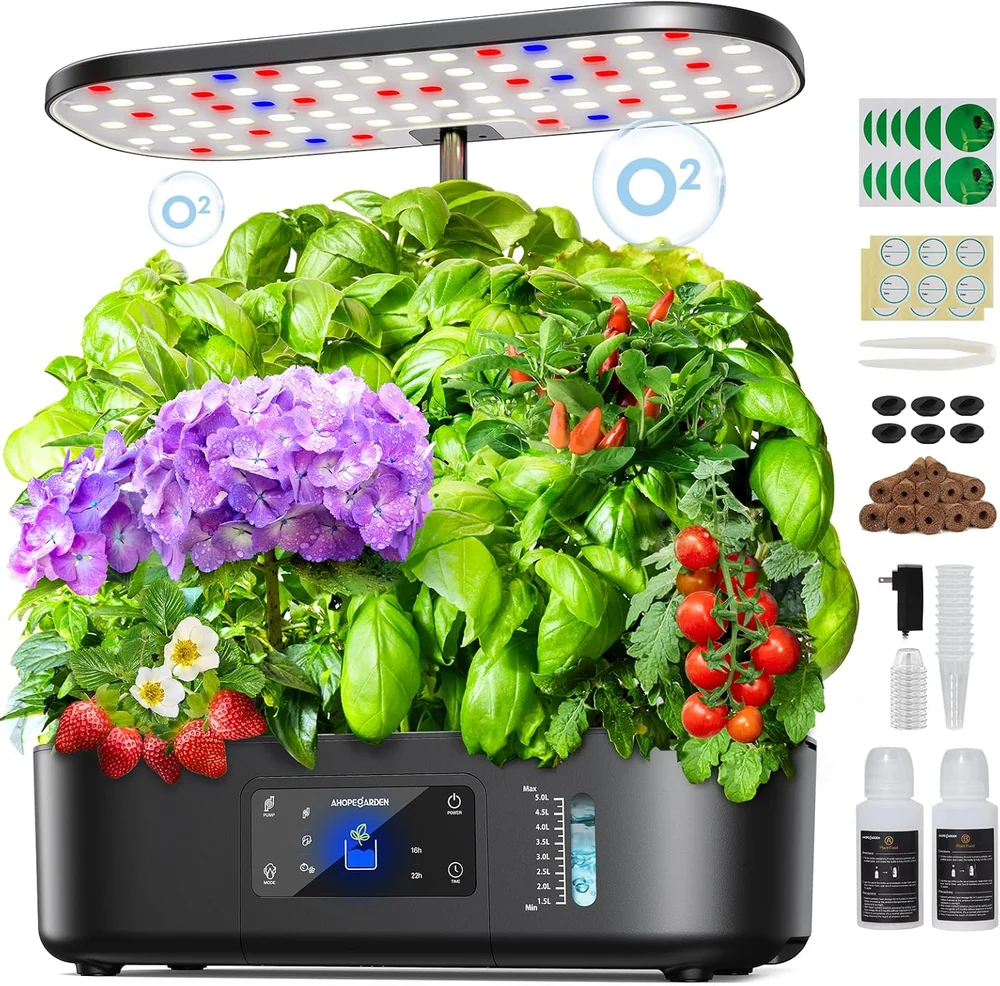 Lettuce Modern