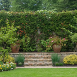 10 Gorgeous Garden Wall Ideas to Transform Your Outdoor Space Instantly