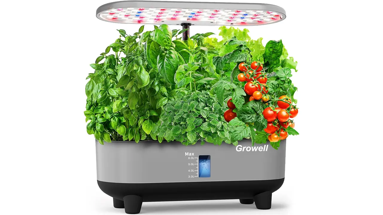 Growell Hydroponics Growing System Kit – Honest Review