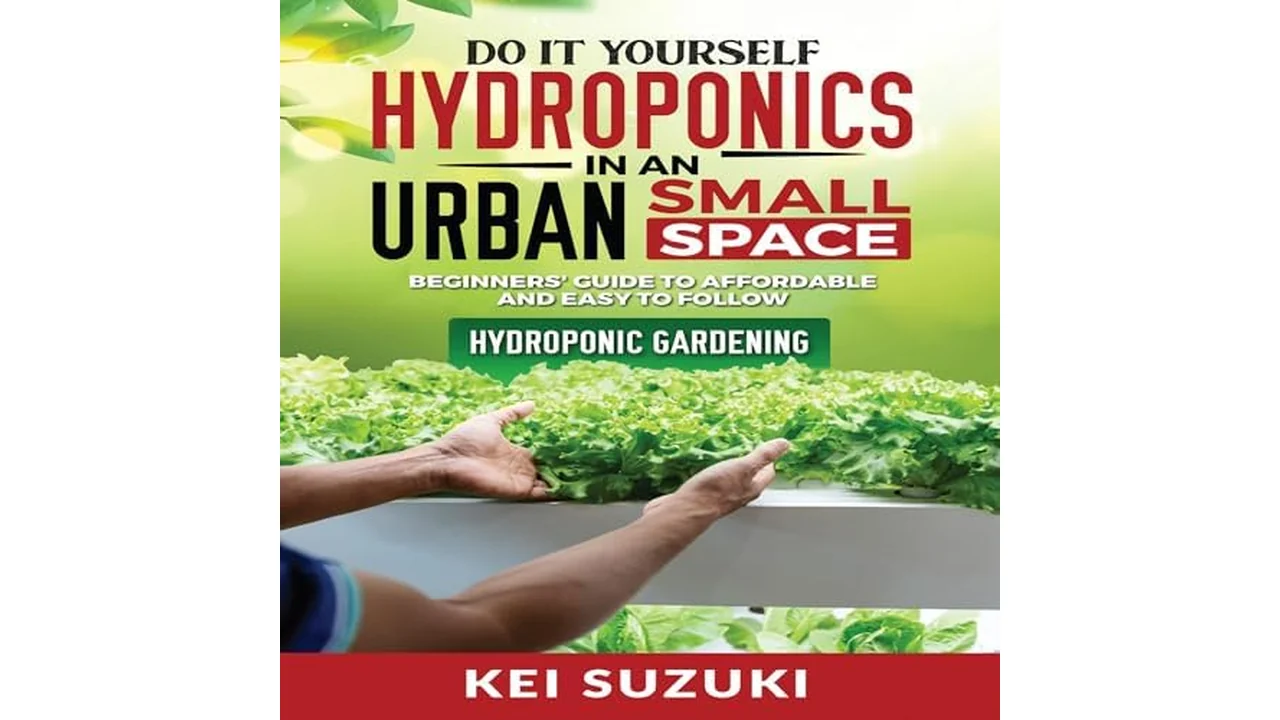 DIY Hydroponics in an Urban Small Space: Beginners’