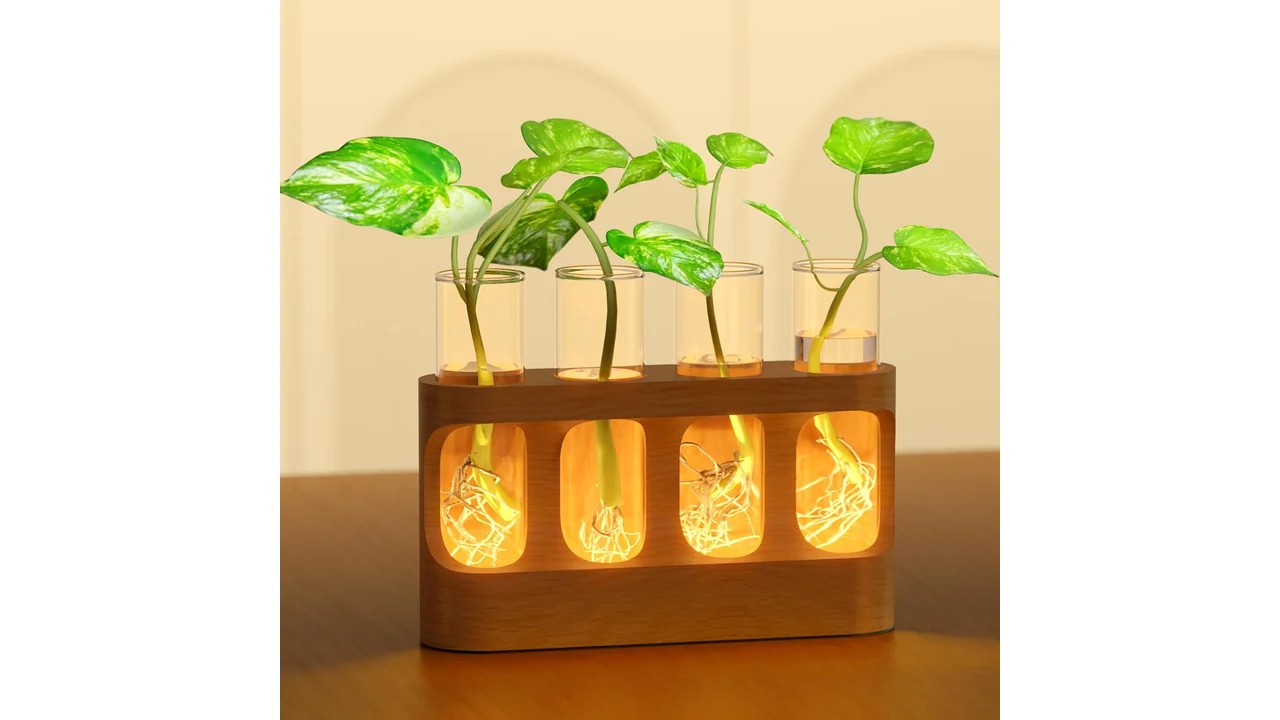 Plant Propagation Station - In-Depth Review 5 featured 1136