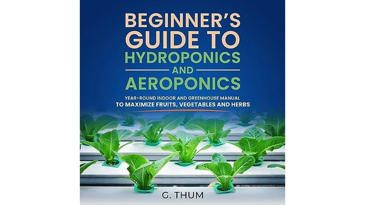 Beginner’s Guide to Hydroponics Aeroponics: Year-Round