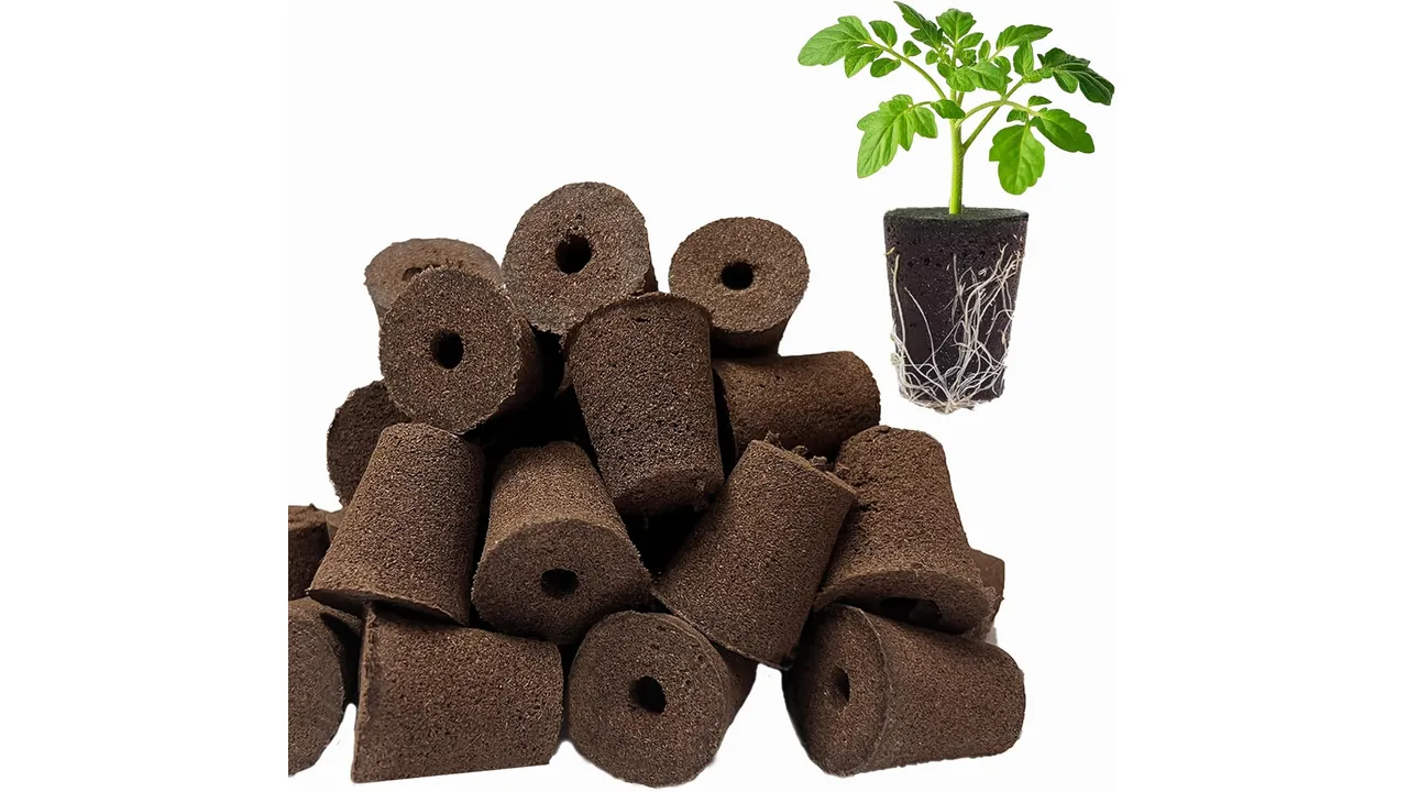 TEZKOLES 50 Pack Hydroponic Sponge - In-Depth Review 4 featured 1162