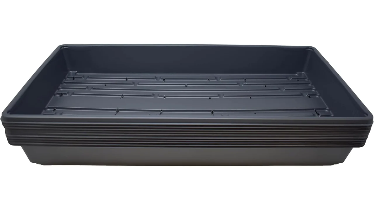 10 Plant Growing Trays – Is It Any Good?
