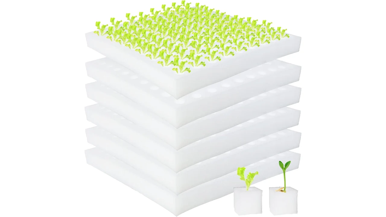 Hydroponic Sponges – In-Depth Review