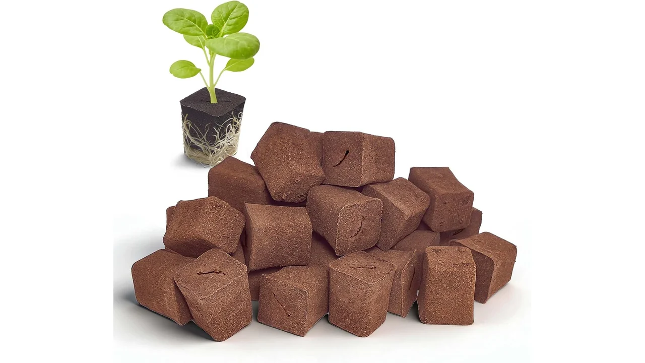 50 Packs Cuttage Grow Sponges, Pods Root – Pros & Cons
