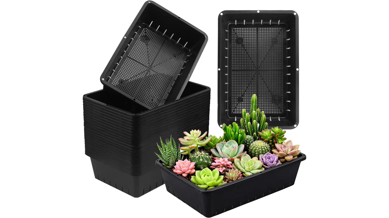 25 Pack Seed Starter Trays 10 x - In-Depth Review 5 featured 1262