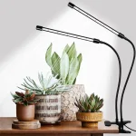 featured 1267
