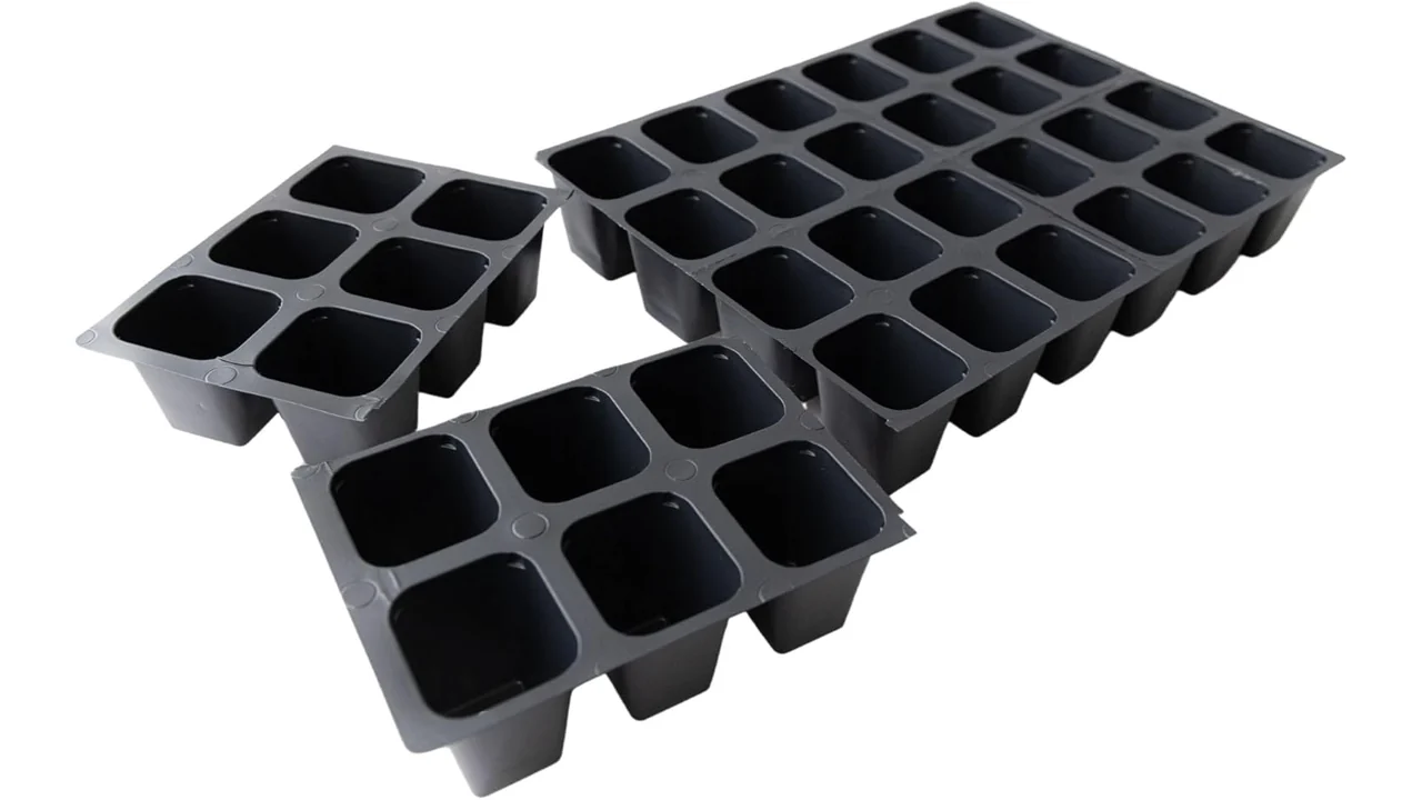 Living Whole Foods Tray Insert – 36 Cell: Honest Review