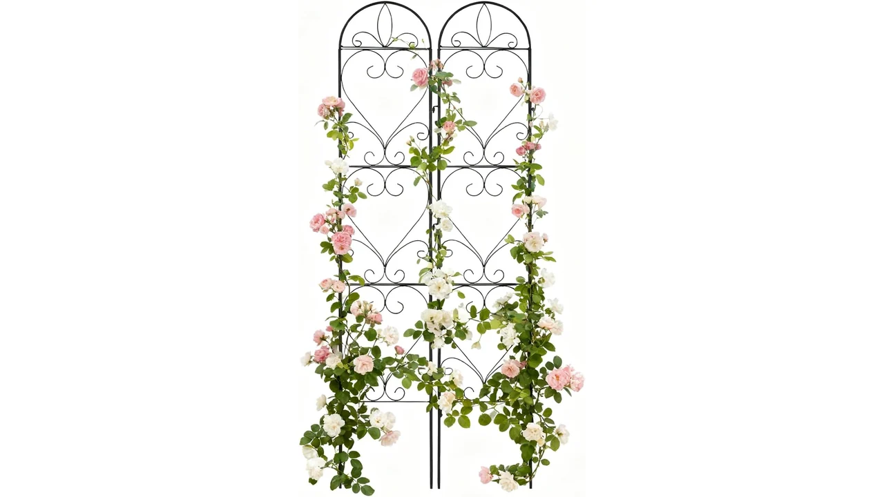2PCS Metal Garden Trellis: Detailed Review