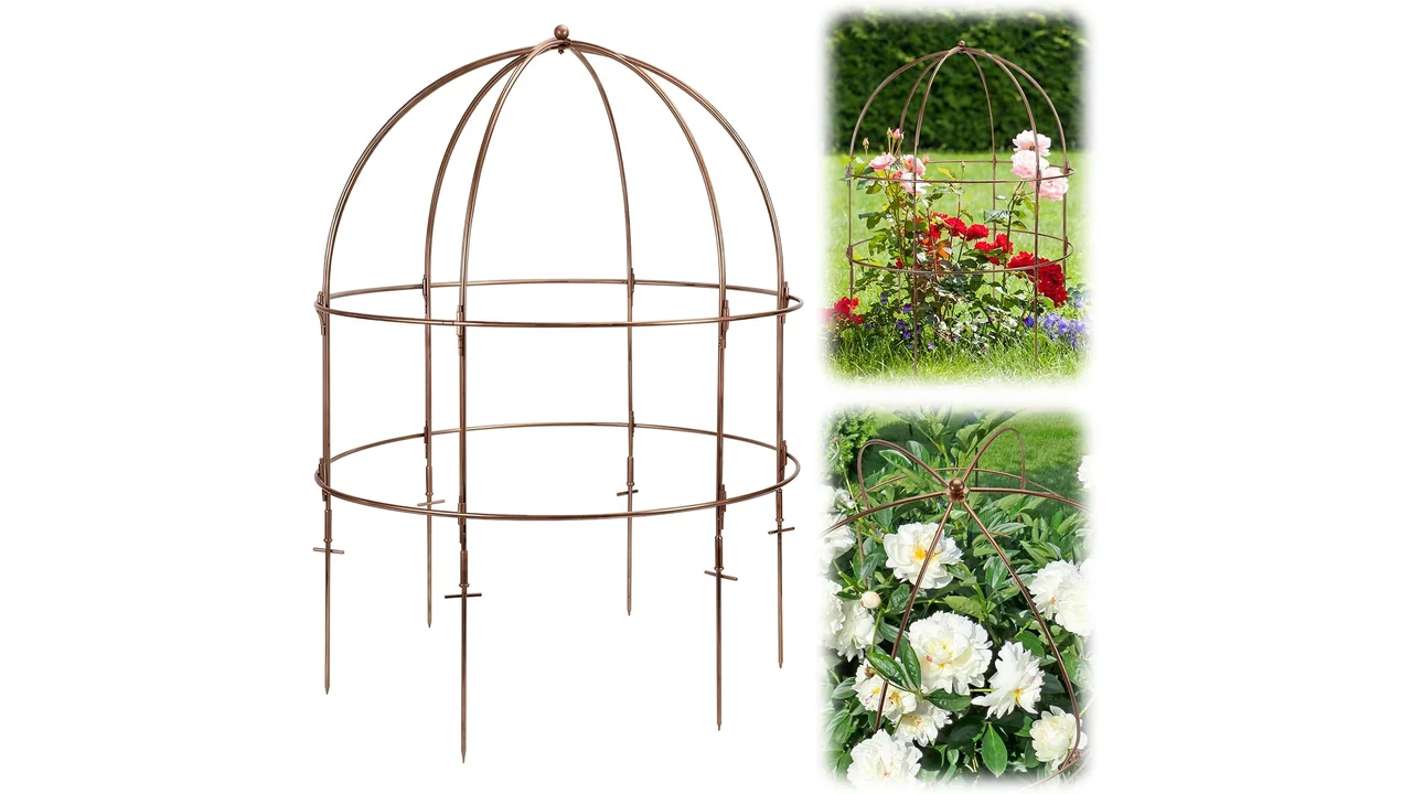 NNG 26 Inch Bird Cage Plant Support – Honest Review