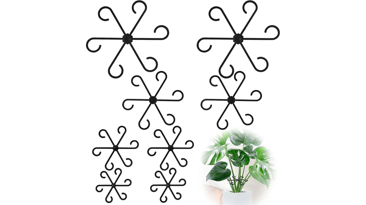 8pcs Plant Stem Support, Plant Support Indoor – Honest