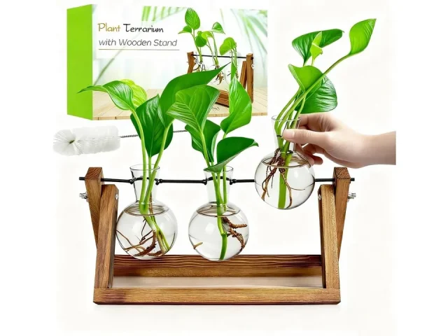 Renmxj Plant Propagation Stations – In-Depth Review