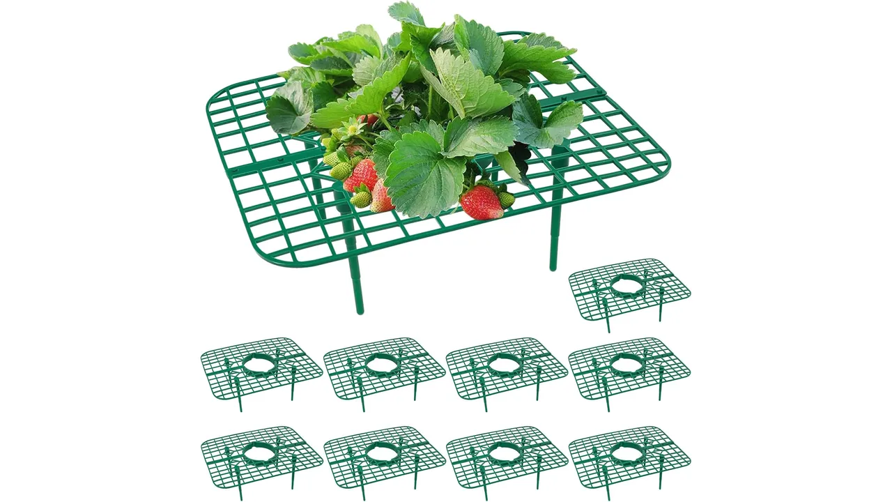 GOONMILL 10 Pack Strawberry Plant Support - Honest Review 9 featured 555