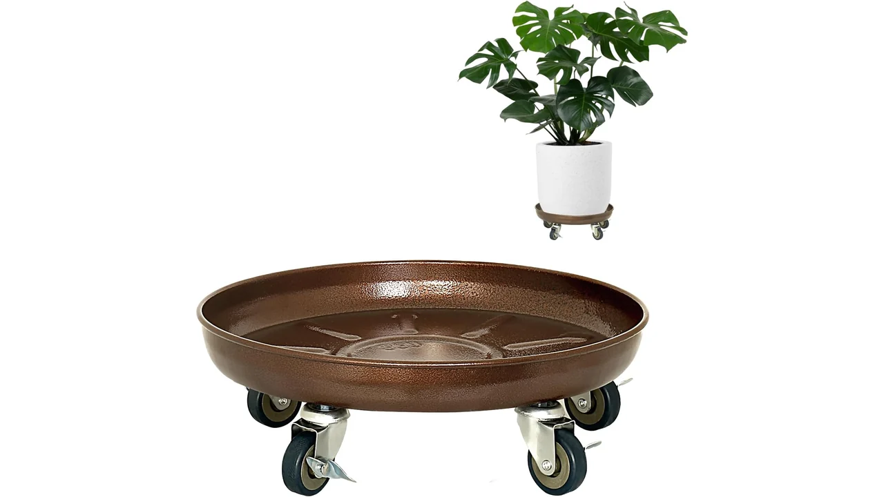Plant Saucer 12" Rolling Plant Caddy - In-Depth Review 9 featured 618