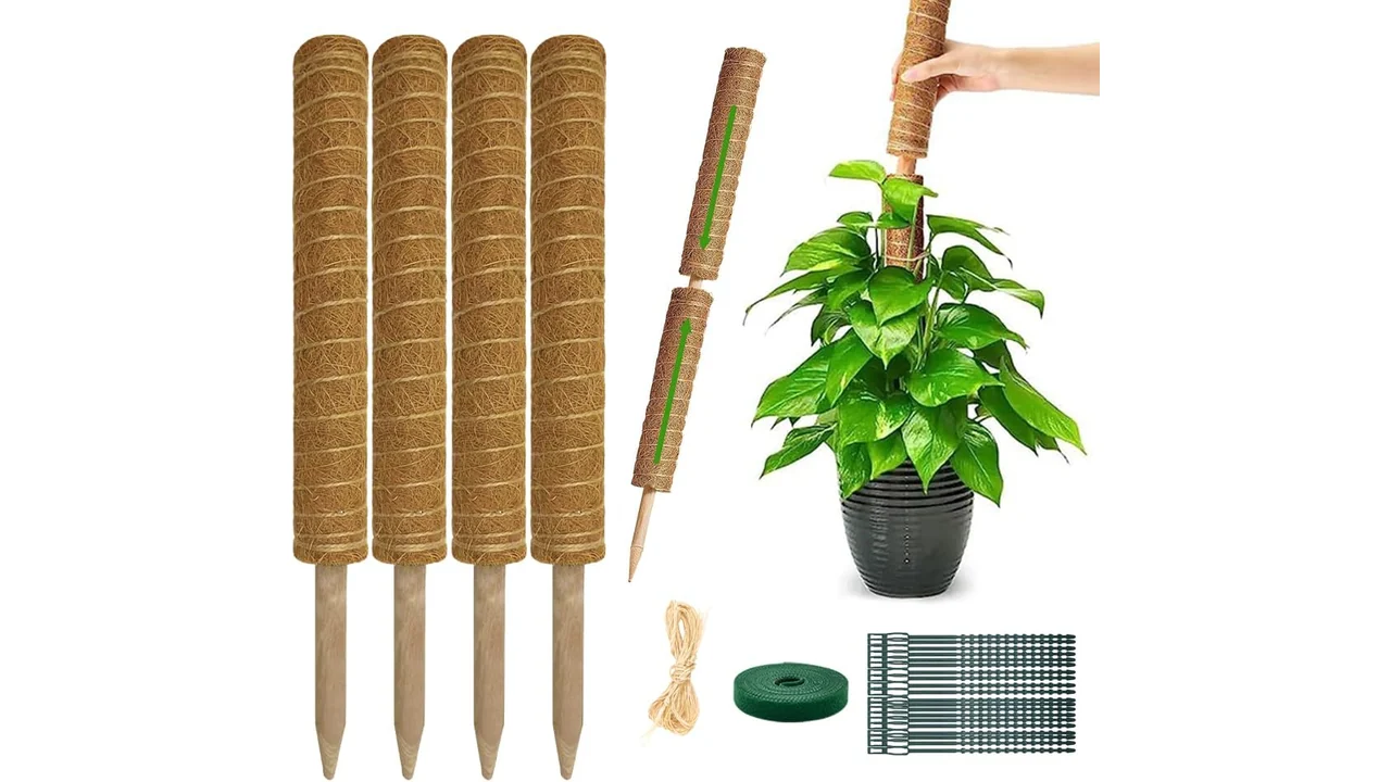 Moss Pole Monstera Plant Support: 4 Pack 16 - In-Depth 5 featured 635
