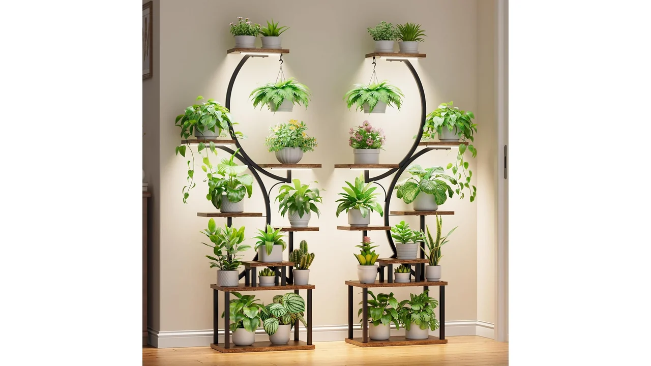 BACEKOLL Plant Stand Indoor Grow Light - 2 Honest Review 13 featured 649