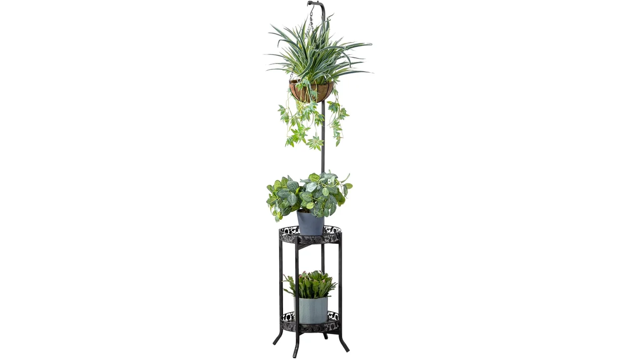 featured 703