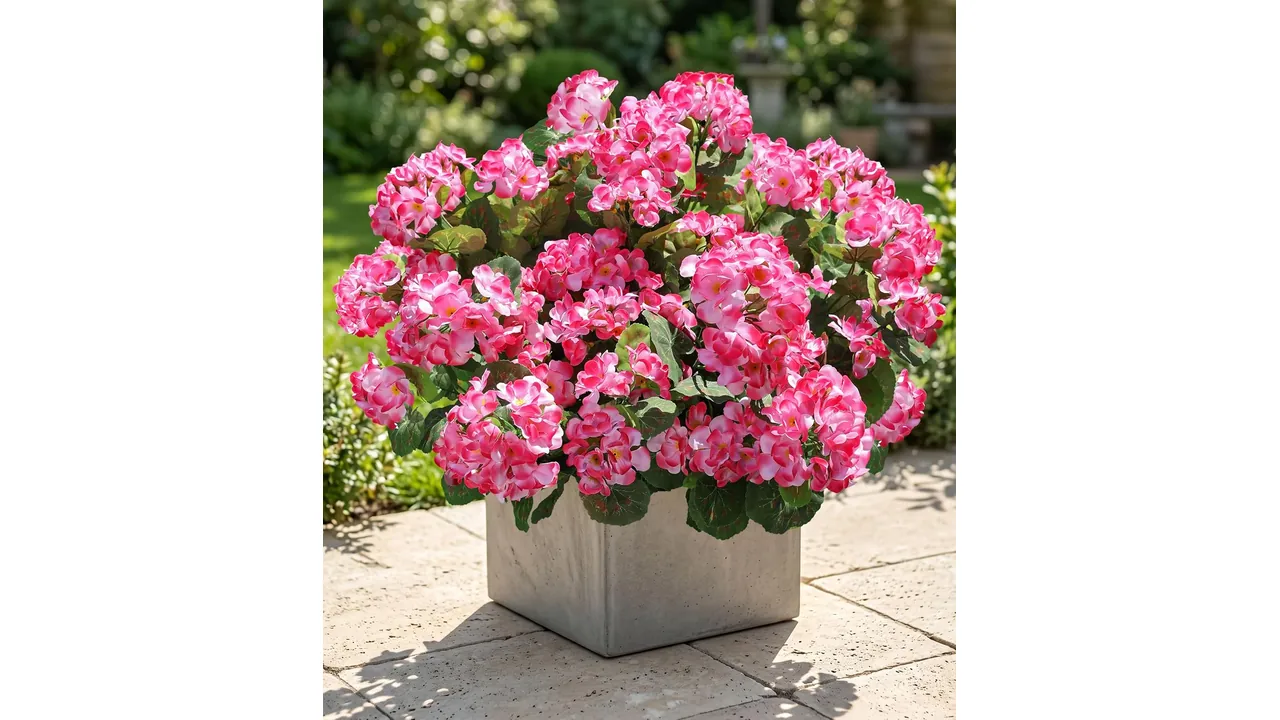 Artificial Geranium Fake Flowers - In-Depth Review 6 featured 809