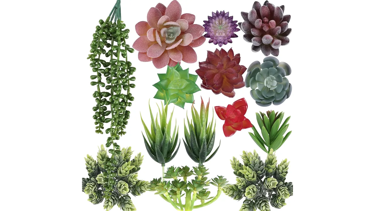 CEWOR 14pcs Fake Succulents – Pros & Cons