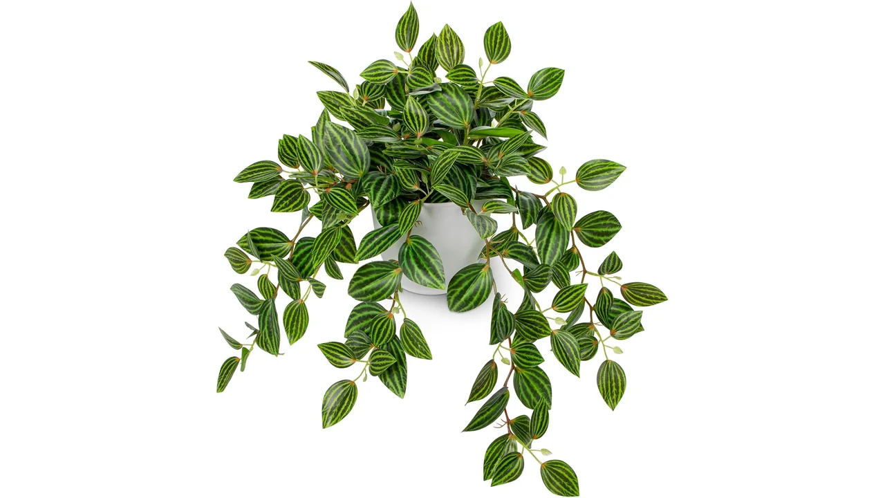 Briful Artificial Plants – Is It Worth the Money?