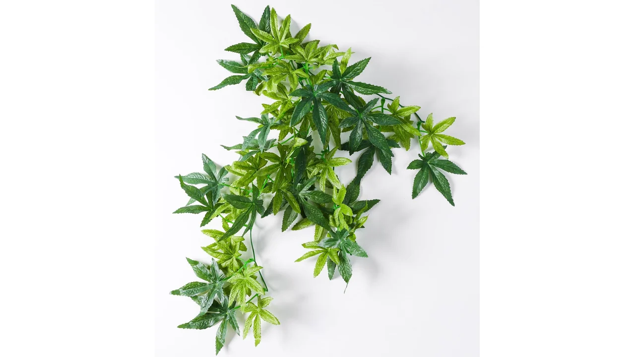 SLSON Reptile Plants Hanging Silk Terrarium Plants – Honest